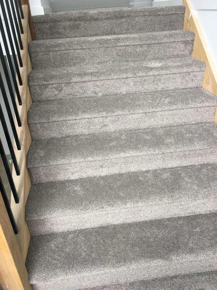 Stairs carpet