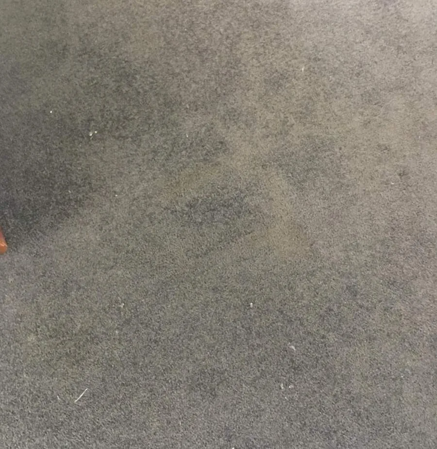 Carpet repair after — seamless burn and tear repair result SE QLD